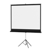 Projector Screen
